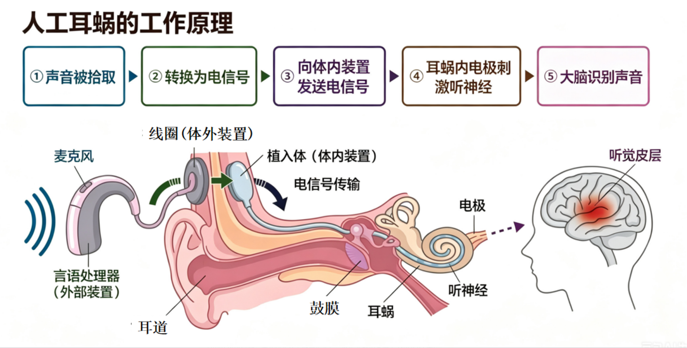 QQ20260924-093521.png QQ20260924-093521.png